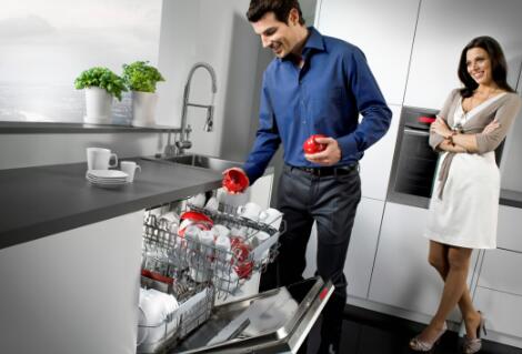 水槽洗碗机还是水槽加洗碗机，怎么选？