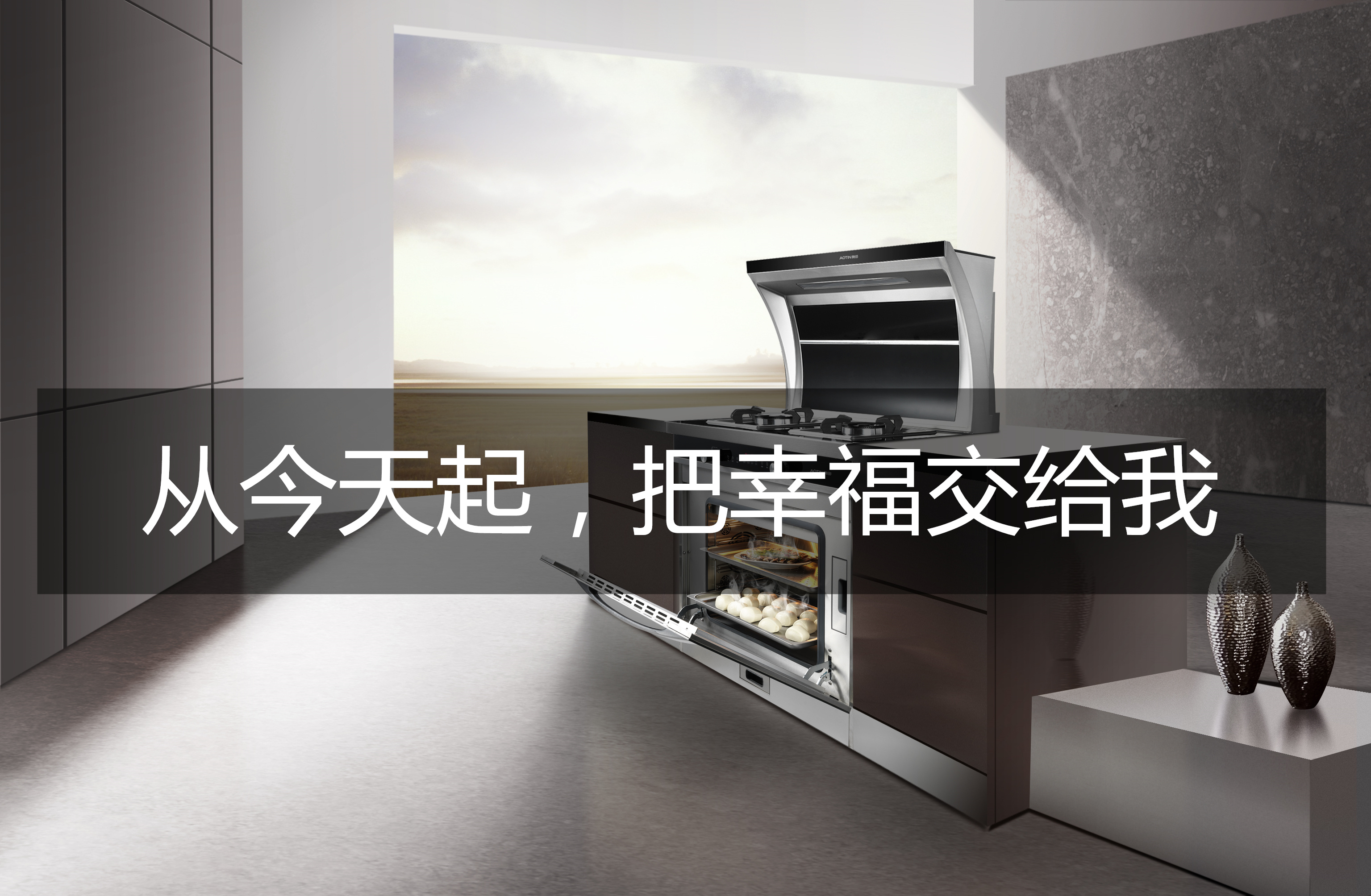从今天起，把幸福交给我――奥田集成灶